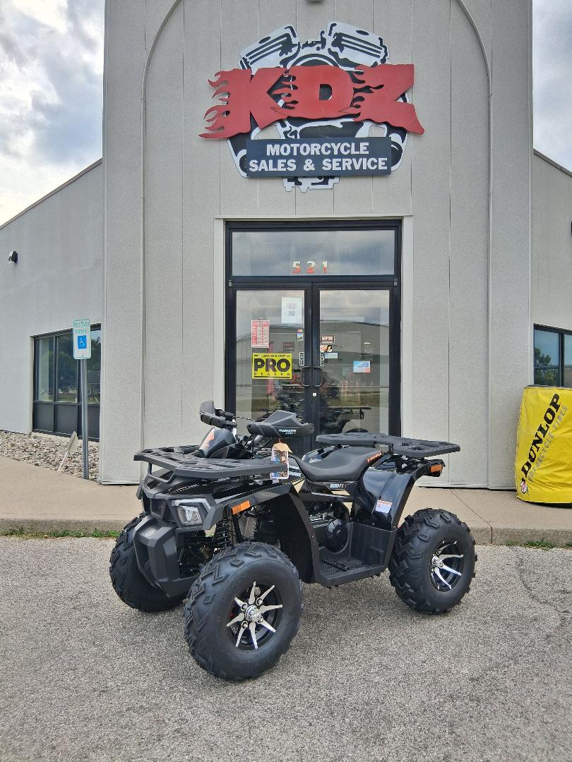 2024 Denago Mudhawk 200 - Black - Image 2