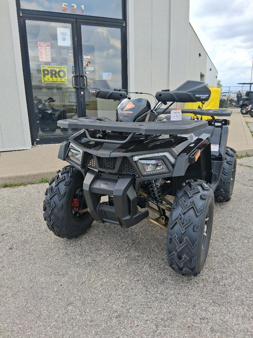 2024 Denago Mudhawk 200 - Black - Image 3